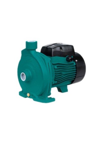 Elettropompa Centrifuga Autoadescante Bigirante HP 2  2ACM150 Leo Inox 2