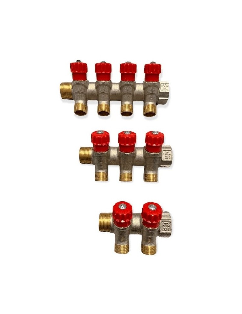 Collettore con rubinetti 3/4 a vitone