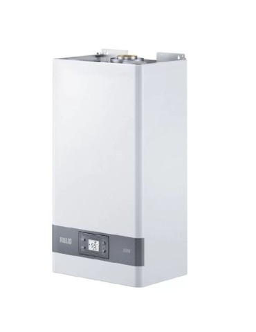 Scaldabagno istantaneo a camera stagna Riello Mini 13 LN gpl
