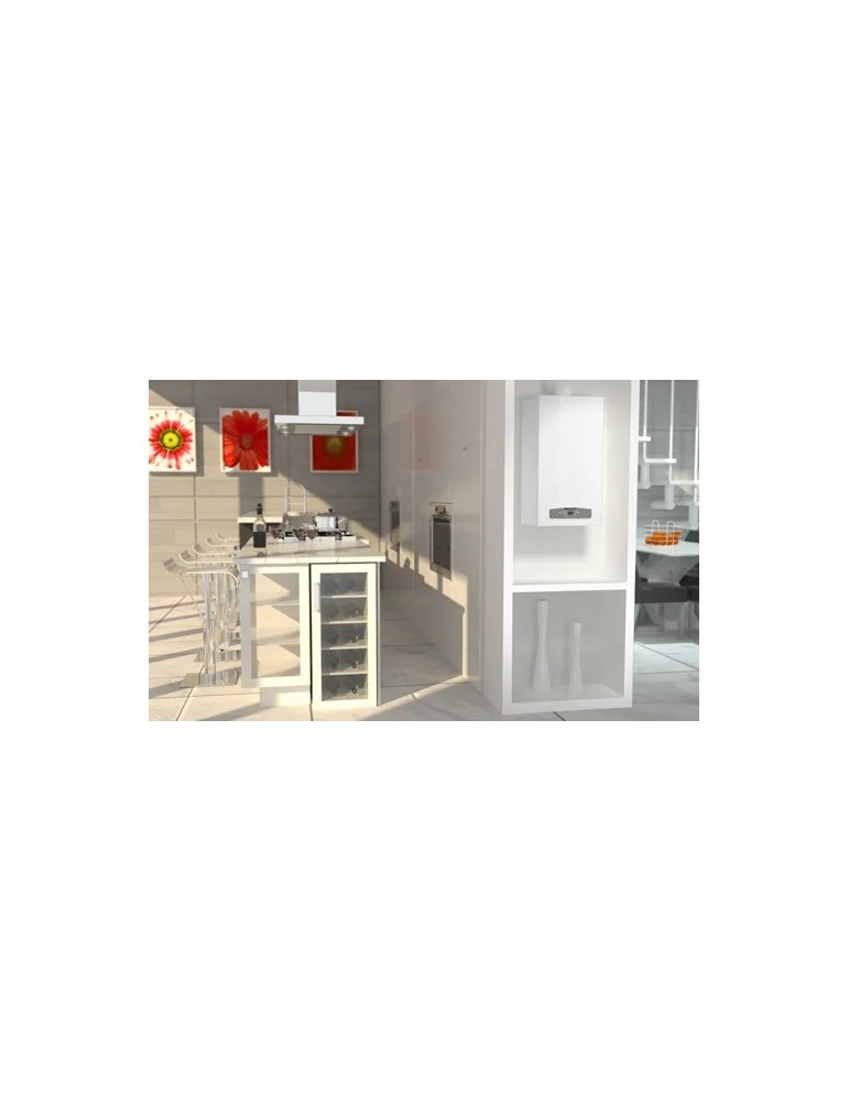 Caldaia Ariston Cares X 24 CF a Camera Aperta | Efficienza e Qualità